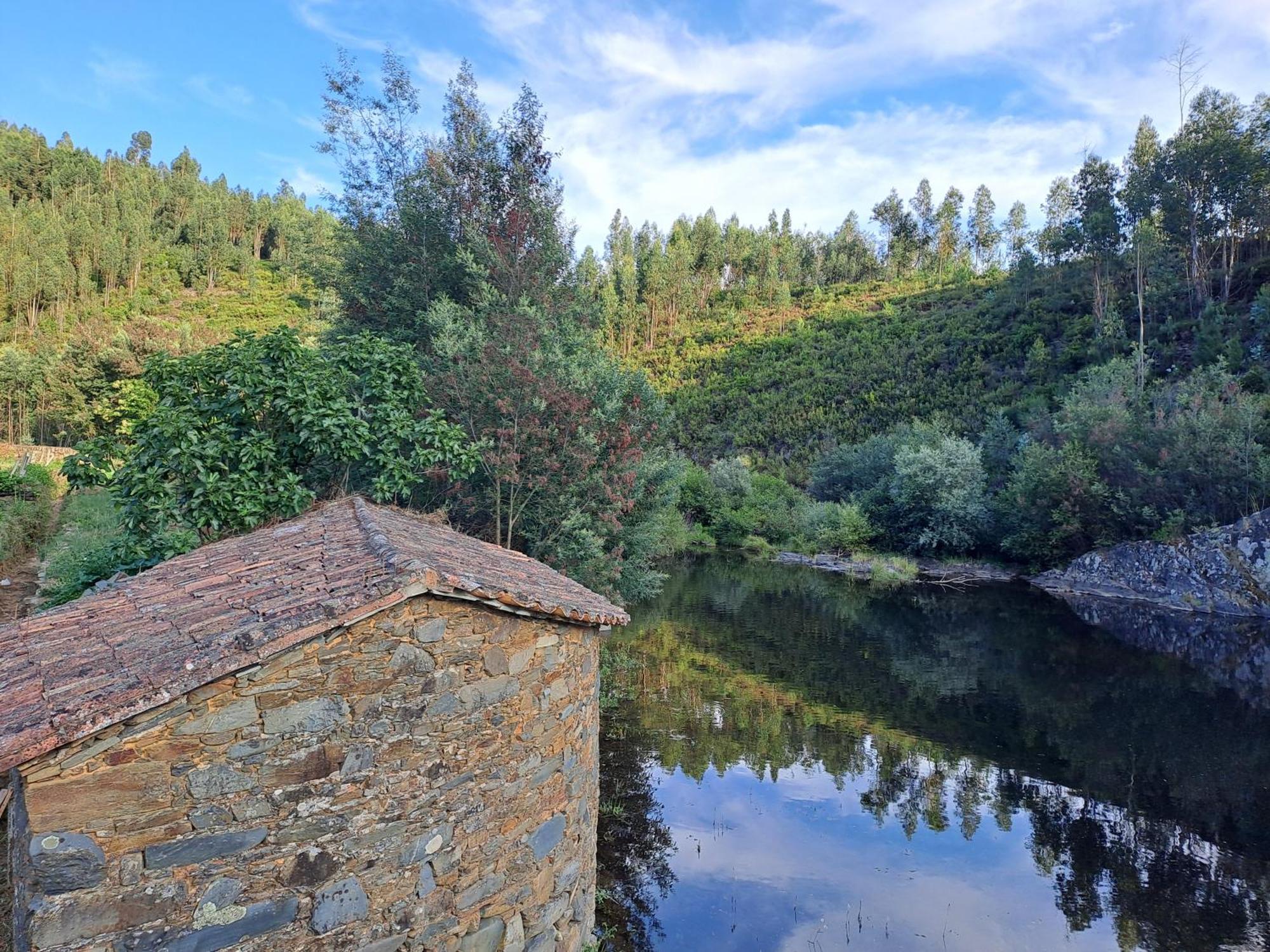 לינה וארוחת בוקר Sertã Vista Castelo מראה חיצוני תמונה